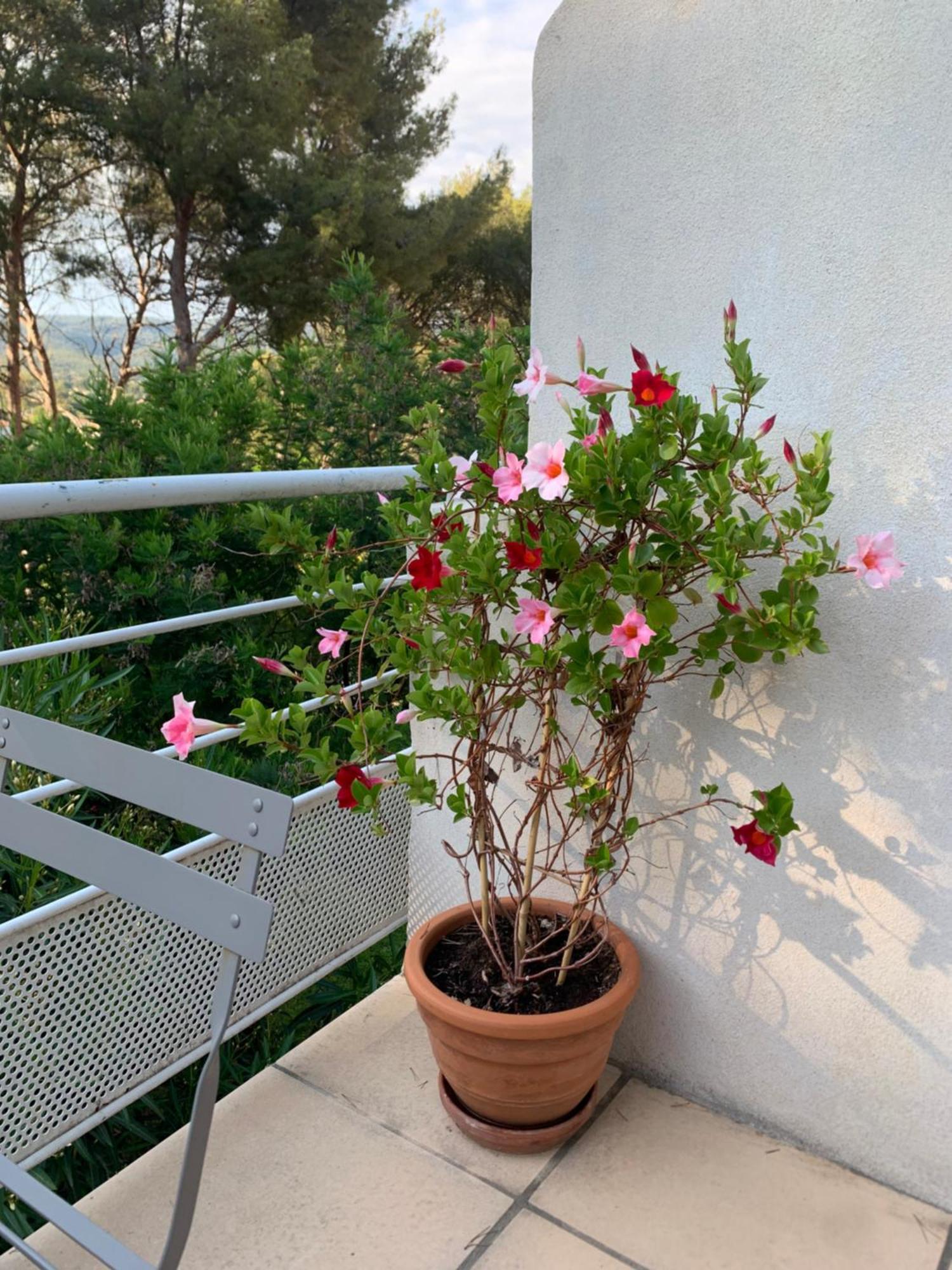 Appartement Duplex La Ciotat Zewnętrze zdjęcie
